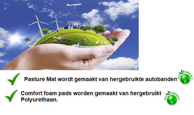 Eco vriendelijk